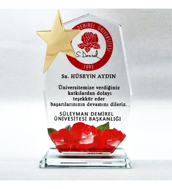 Dokuzgen%20Cam%20Kristal%20Plaket%20Yıldızlı